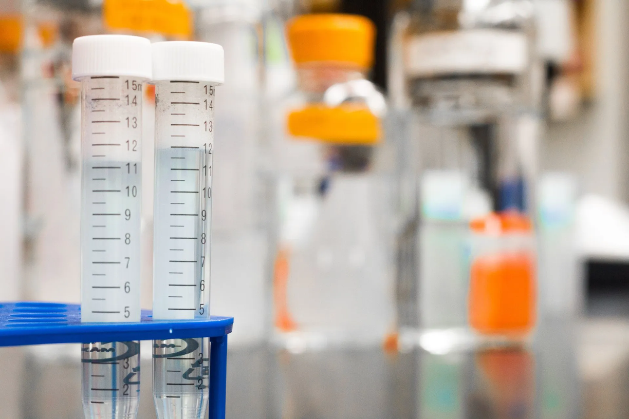Lab Collections